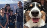 Shattered family demand answers after their dog dies of heatstroke in pet hotel while they were on dream Hawaii vacation