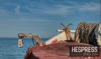 Morocco’s sardine landings jump 66% through August