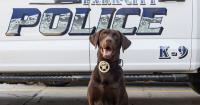 Park City bomb dog injured while investigating ‘suspicious materials’ along U.S. 40