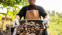 Plastic-eating enzyme found in compost could change the future of recycling