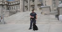 Idaho State Police introduce new K-9 to explosive detection fleet