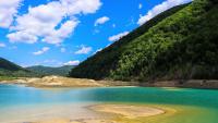 Lake pollution changed fish behavior in a way scientists didn’t expect