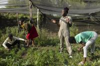$15 million fund launched to help end female genital mutilation 