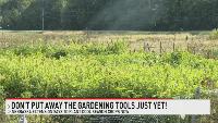 Don't put away the gardening tools just yet!