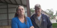 ‘Can’t leave crops in the field’: Nebraska farmers brace for soaring diesel costs at harvest
