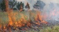 Land Management Through Prescribed Fire