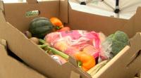 Free produce distributed in Gage County by Molina Healthcare amid rising food insecurity