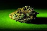 Minnesota recreational cannabis sales hit $150M one year in