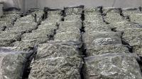 Modern Cannabis-Growing Operation Uncovered in House in Zmeyovo, 68kg of Marijuana Seized