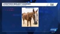 Iowa woman charged with livestock neglect near Farmington