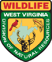 West Virginia Squirrel Season Opens Sept. 12