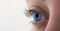 Grant will open door to better prediction of eye health risk