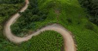 Colombia to resume aerial spraying of cocaine crops