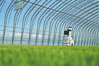 Farmers in Northeast China transform lives through smart agricultural tech