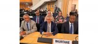 Human Rights Commissioner Participates in High-Level Meeting on Human Rights Education and Training