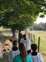 Integral ecology and the Catholic moral life