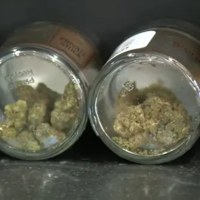 MN hits $250M in cannabis sales since launch of adult-use market 1 year ago
