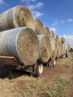 Nebraska Hay and Forage Hotline connects producers following wildfires