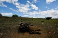 Dead animals, barren fields, and hunger \- El Nino chokes Central America