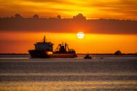 Shipping operators advised to treat emissions as early financial indicators