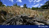 Dead animals, barren fields, and hunger: El Nino chokes Central America