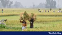Why can’t farmers get fertiliser despite adequate government stocks?