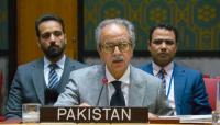Pakistan stands with Saudi Arabia 'shoulder to shoulder' amid attempted attack on Makkah