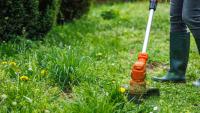 3 Of The Biggest Drawbacks Of Using An Electric Weed Eater