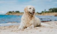 Wednesday stays hot as Cyprus braces for a proper weather switch-up