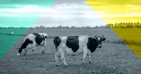 Alternative federal budget 2026-27: Agriculture