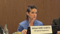 UN expert on toxic chemicals: ‘We shouldn’t allow exposure of entire populations and the planet before acting’
