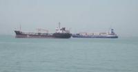 Shipping disruptions of Hormuz Strait to hit future global food production: FAO