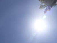 Changing Climates: Heatwaves’ Global Takeover