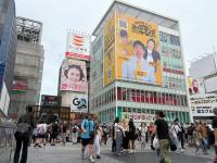 Japan land prices rise for 5th year; growth flattens at 1.5%