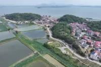 Wuchang fish industry casts a wider net