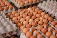 Japan Pork, Egg Prices Hit Record Highs in Sept.