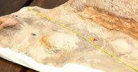 Teacher hopes his T. rex trackway discovery fuels passion for learning