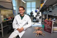 UNC Charlotte Expert Shares What You Need to Know About Rabies After Recent North Carolina Cases
