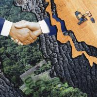 Rabobank backed a bid to preserve a Bolivian forest. It lost to Brazil’s ‘king of soy’