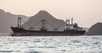 Yemen coastguard flees to Djibouti after Houthi takeover