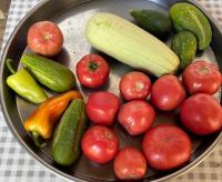 Why is Serbia a dwarf in the production of organic food?