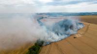 Extreme weather exposes growing gaps in farm insurance