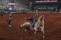 Brazil's cowboys rally behind Flavio Bolsonaro