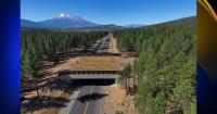 Wildlife crossing over U.S. Highway 97 finished, animals seen using it