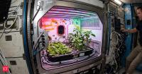 In 2017, a fully automated facility for plant bioscience research was launched to the International Space Station: What NASA studied in space?