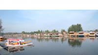 Tourists laud Kashmir's beauty, hospitality during Dal Lake visit