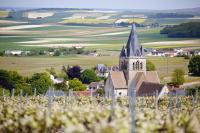 Champagne reports promising quality from early 2026 harvest