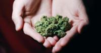 Man, 46, resorted to cannabis to help him through PTSD