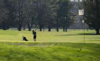 Women's Golf: Zoe Luebbers leads as Ohio finishes sixth in Rocket Classic