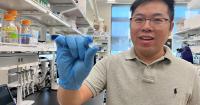 Researchers develop wearable patch that could prevent opioid overdoses